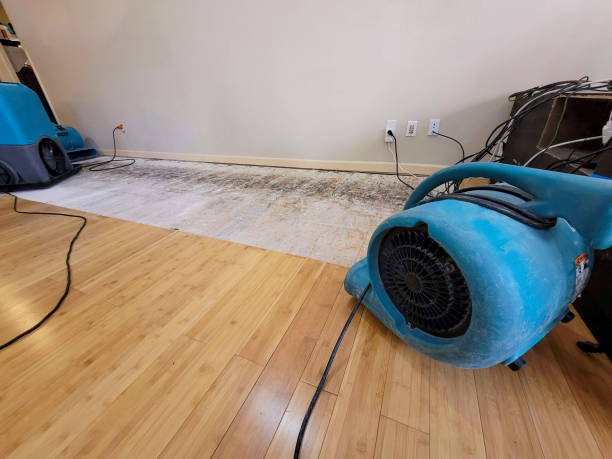 Professional Flood Damage Cleanup technician working in Pleasantville, NJ